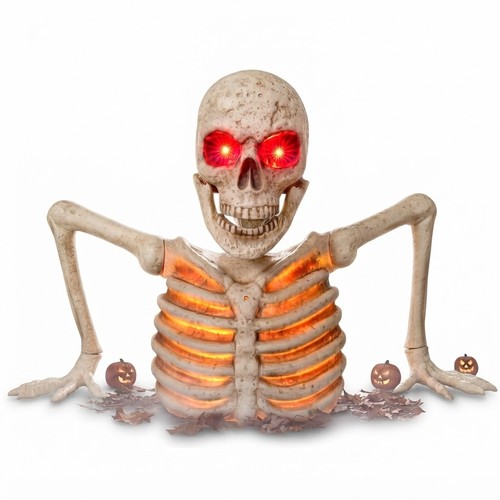 Halloween deko skelett - deko,